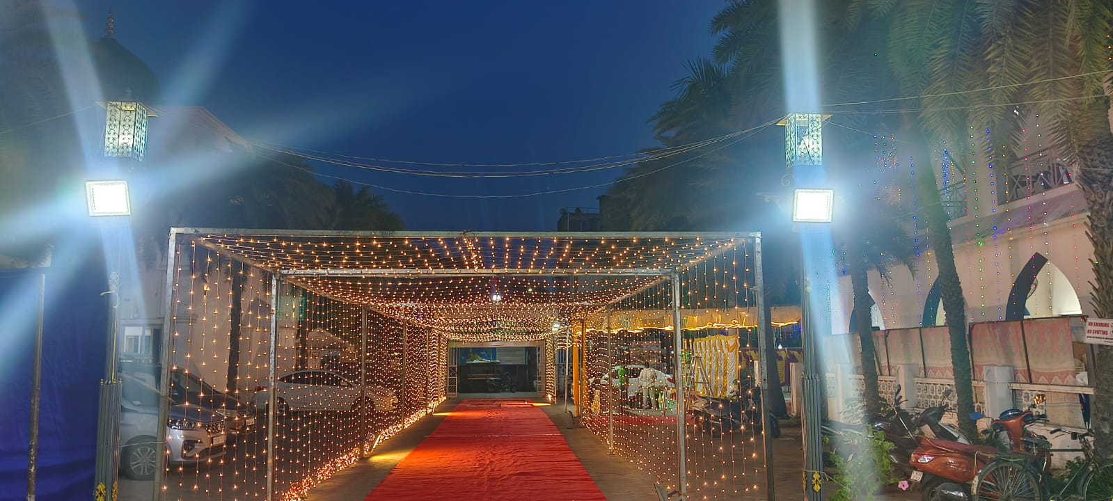 Decorated Lawn Canopy with Lights